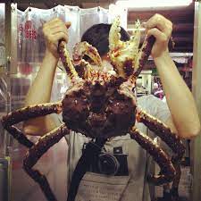 台灣鱈場蟹 food crab