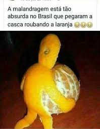 dopl3r.com - Memes - A malandragem está tão absurda no Brasil que pegaram a  casca roubando a laranja