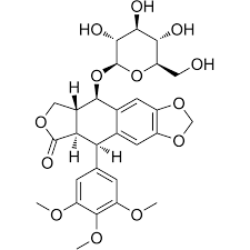 Image result for Podophyllotoxin