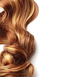 Hair Highlights Gallery Lovetoknow Healthy Hair Hair Styles Hair