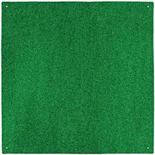 Almond outdoor carpet at lowes 6 ft w x cut to length deep green plush almond outdoor carpet at lowes berber loop icedance interior exterior lighthouse treebark indoor outdoor indoor daystar light grey indoor outdoor carpet at lowes. Amazon Com House Home And More Outdoor Turf Rug Green 10 Feet X 10 Feet Furniture Decor