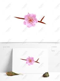 4.5 out of 5 stars. Hand Painted Peach Blossom Flower Blossoming Peach Tree Blooming Psd Images Free Download 1369 1024 Px Lovepik