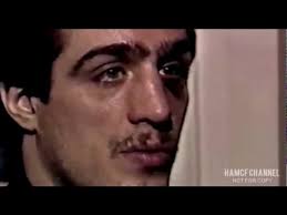 Dog fight! Pit bull vs. Irish wolf hound