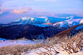 Discover iconic lookouts, waterfalls, and walking tracks, plus mountain biking, aboriginal culture, adventure sports and camping. Pin On All Natural Snow Australia