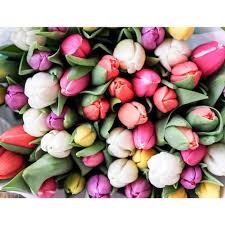 Maybe you would like to learn more about one of these? The Flower Patch Home Facebook