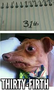 Aeaae1d90f00d144a6febeed6b3e765b Jpg 428 715 Pixels Funny Animal Memes Funny Dog Memes Funny Animals