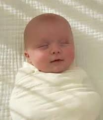 PCDS The Bridge Magazine, Winter 2024 by Phoenix Country Day School