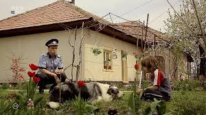 Burlacul sezonul 5 episodul 4. Las Fierbinti Sezonul 4 Episodul 4 Episodul 5 Online