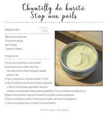 Chantilly De Karite Stop Aux Poils Hana In The Woods Corps Chantilly De Karite Soins Naturels Pour La Peau Produits De Beaute Faits Maison