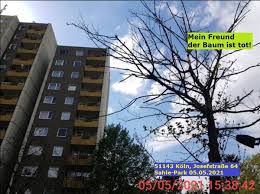 Die wohnung ist möbliert, das wohnzimmer kann gemeinsam genutzt werden. Sahle Wohnen Hausverwaltung 4 Bewertungen Munster Gievenbeck Stadtlohnweg Golocal