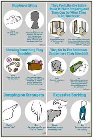 Effective And Easy Ways To Train Your Bad Dog Behavior Dog Training Tips And Tricks Dog Training Puppy Training Dog Care Tips