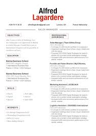 cv format balanced resume  mycvfactory