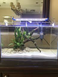 Starting An Aquarium Fishless Cycle | The Shrimp Farm