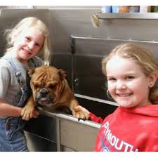 Book lake austin spa resort, austin on tripadvisor: Self Serve Dog Wash Soldan S Pet Supplies Bay City Mi Charlotte Mi Dewitt Mi Midland Mi Mt Pleasant Mi Okemos Mi Lansing Mi Lansing Mi