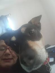 Hello, thank you for accepting me , I'm glad to be here 👋😊