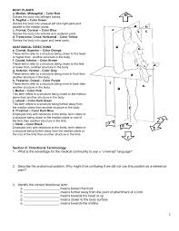 Found worksheet you are looking for? Introduction Terminology Worksheet Pages 1 6 Flip Pdf Download Fliphtml5