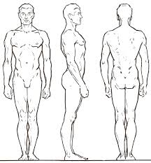 Male Mannequin By Takkunelwood Png 900 972 Human Figure Drawing Cartoon Drawings Character Design