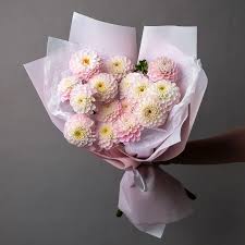 Букет Георгин "Визард" из 21 розовых георгинов высотой 60 см ...