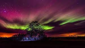The eskimo's and scandinavian people have told oral stories about the northern lights for hundreds of years. What Are The Northern Lights Explore Awesome Activities Fun Facts Cbc Kids