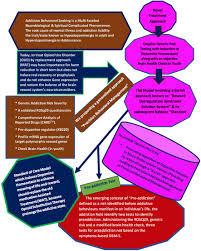 Image result for Addiction Pathophysiology