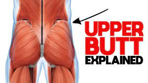 Out of the two muscles you can see on the diagram above, the. Unlock Your Glutes What You Need To Know About The Gluteus Medius Youtube