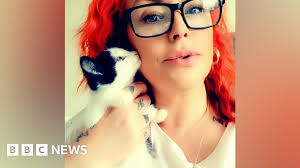 Petition calls for drivers to report hitting cats