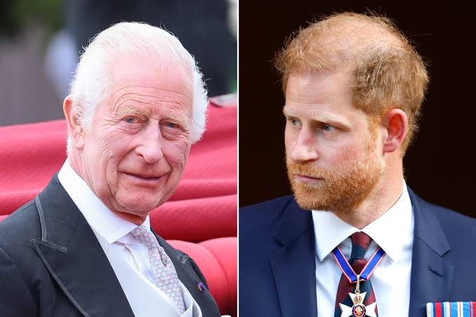 King Charles' Scathing Response to Harry's Media War - Newsweek