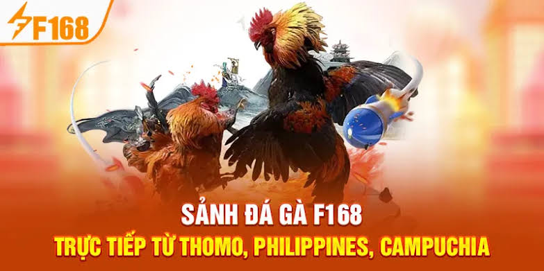 Đá Gà F168 Minh Bạch: Cược An Toàn, Rút Thưởng Siêu Tốc