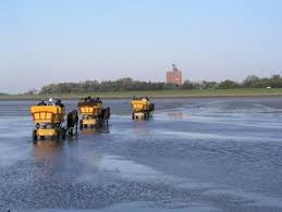 Wattwagen Sind Das Typische Verkehrsmittel Im Hamburgischen Wattenmeer Wattenmeer Deutsche Landschaft Cuxhaven