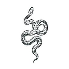 Large Snake Tattoo Snake Temporary Tattoo Blackwork Snake Etsy Snake Tattoo Serpent Tattoo Snake Tattoo Design Here are top snake tattoo designs holding eloquent meanings. large snake tattoo snake temporary