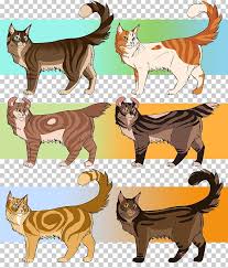 Turkish Angora Kitten Warriors Firestar Graystripe Png Clipart Animal Figure Animals Big Cats Black Cat Calico Because calico cats are not a breed unto themselves, calicoes will have unique and varied personalities influenced by a wide range of factors. turkish angora kitten warriors firestar