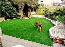 Concerned about holes causing accidents or dead patches making your yard look bad? Best Grass For Dogs Choosing The Best Grass For Dogs