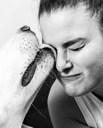 Gallery — diane s. kang