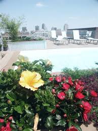 Check spelling or type a new query. Westgate Lofts