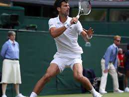 Novak djokovic has been appointed a global brand ambassador of one of the world's most prestigious brands, the french clothing and sports equipment manufacturer lacoste. Novak Djokovic The Colour Of What I Wear Is Very Important Life Beyond Sport