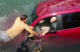 Good Samaritans Restored Faith In Humanity By Rescuing Drowning Elders And Their  Pet Chihuahua 👏 Video in the comments 👇