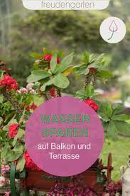 Wasser Sparen Auf Dem Balkon In 2020 Balkonbepflanzung Balkon Pflanzen Topfpflanzen Terrasse