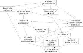 You and your healthcare provider need to pay close attention to your blood pressure. Hypertension In Ckd Core Curriculum 2019 American Journal Of Kidney Diseases