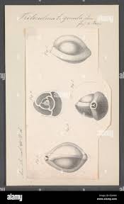 0005] hi-res stock photography and images