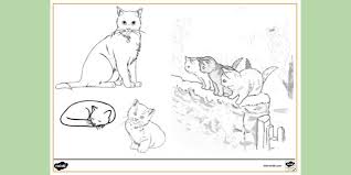Every cat coloring page is a printable pdf and/or can be downloaded. Kitten And Cat Colouring Page Colouring Sheets