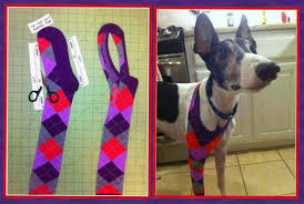 Walmart.com has been visited by 1m+ users in the past month How To Make A Cover For Leg Injury So They Can T Lick It Pets Dogs Diy Dog Stuff
