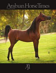 Arabian Horse Times Vol45 No9 By Arabian Horse Times Issuu