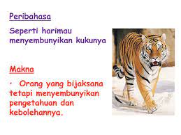 (ungkapan untuk) orang yang menyembunyikan kepandaiannya dan sebagainya. Ppt Senarai Peribahasa Powerpoint Presentation Free Download Id 1945284