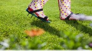 Rasen lüften, aerifizieren, rasen besanden. Rasen Luften Und Sanden Zeitpunkt Und Anleitung Gartenlexikon De