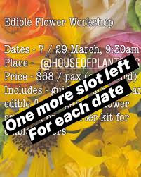If diamonds are too atas for your lady, flowers are probably her best friend. The Popular Edible Flowers House Of Plants Singapore Facebook