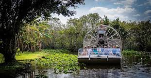 The 5 Best Everglades Tours From Miami 2021 Absolut profihafte durchfuehrung, auch wenn der treffpunkt an einer. the 5 best everglades tours from miami