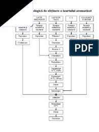 Descrierea schemei tehnologice de obtinere a iaurtului.doc. Schema TehnologicÄƒ De ObÅ£inere A Iaurtului Aromatizat