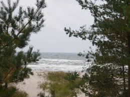 Ob 5 955 apartments/wohnungen in einer anlage oder 746 häuser, sie finden das richtige ferienhaus für familie und vrbo österreich bietet 5 955 apartments/wohnungen in einer anlage in binz. Prora Binz Im November Veranstaltungen Offnungszeiten