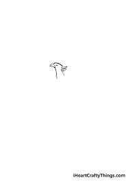 Just like with the phoenix and egg combination, adding fire will underline the idea of rebirth and rising from the ashes that the bird represents. Phoenix Drawing How To Draw A Phoenix Step By Step