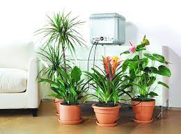 Oasis Soluzione Pratica Versatile E Definitiva Per Annaffiare Le Piante Quando Si Va In V Plant Watering System Garden Watering System Self Watering Plants